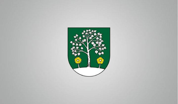 Silická Brezová