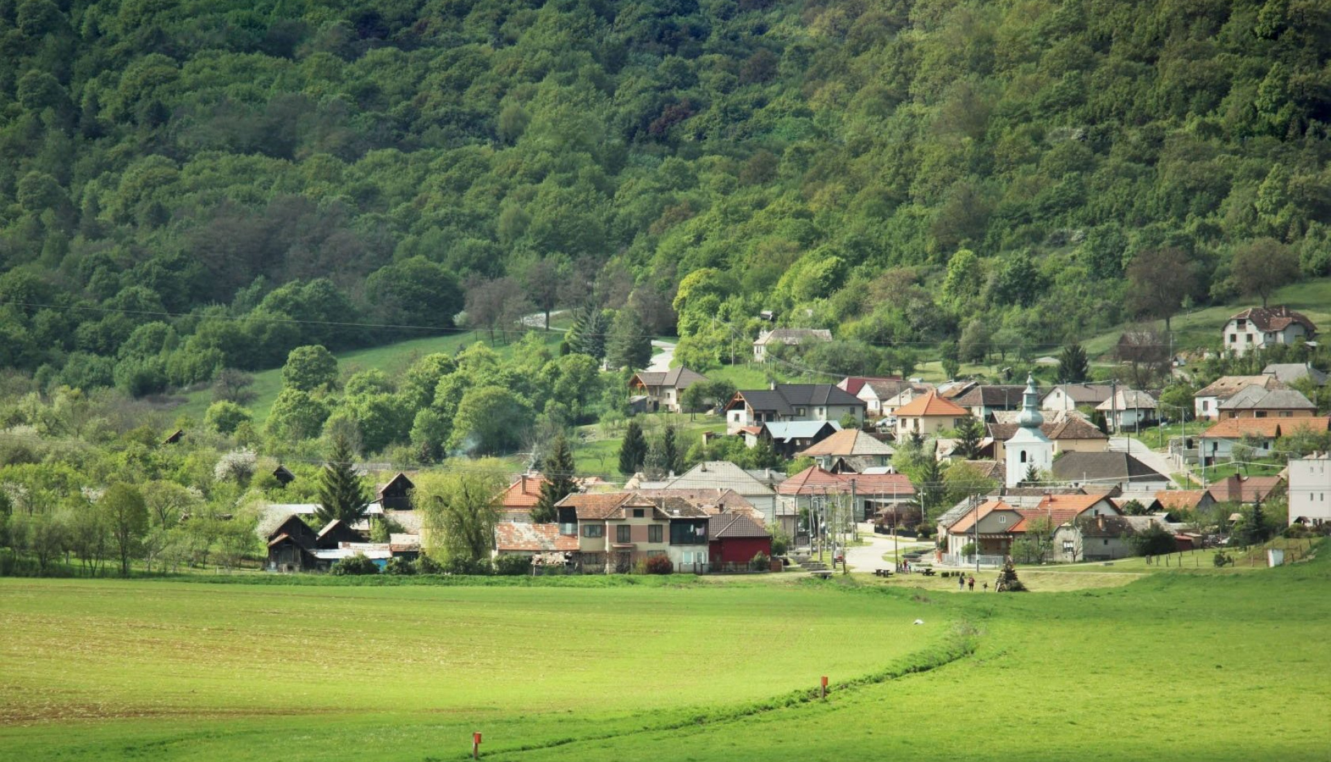 1. fotografia fotogalérie