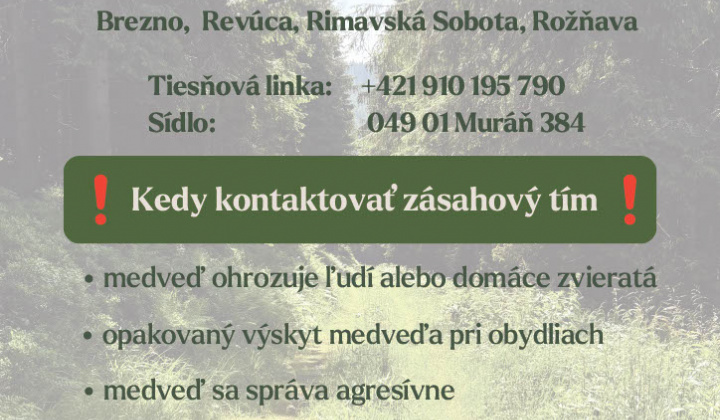 Fotka - Kontakt na zásahový tím pri výskyte medveďa hnedého